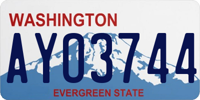 WA license plate AYO3744
