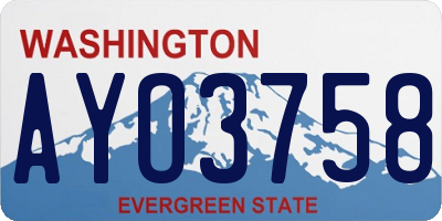 WA license plate AYO3758