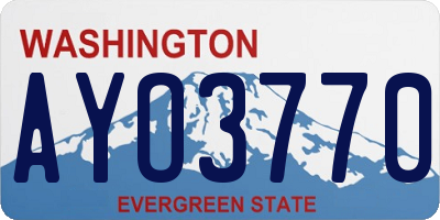 WA license plate AYO3770