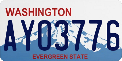 WA license plate AYO3776
