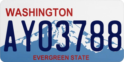 WA license plate AYO3788