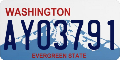 WA license plate AYO3791