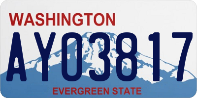 WA license plate AYO3817