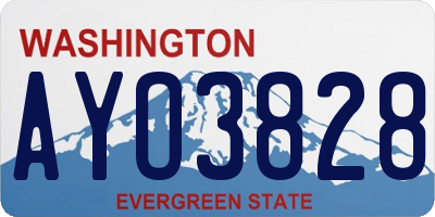 WA license plate AYO3828