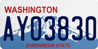 WA license plate AYO3830