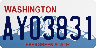 WA license plate AYO3831