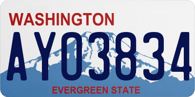 WA license plate AYO3834