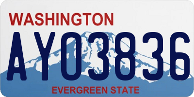 WA license plate AYO3836