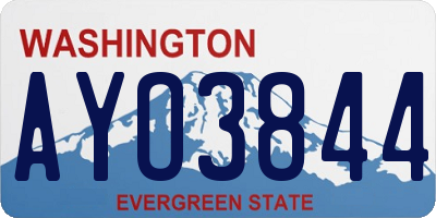 WA license plate AYO3844