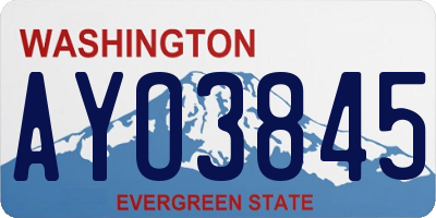 WA license plate AYO3845