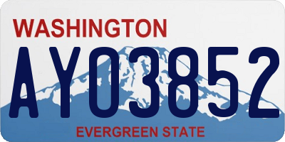 WA license plate AYO3852