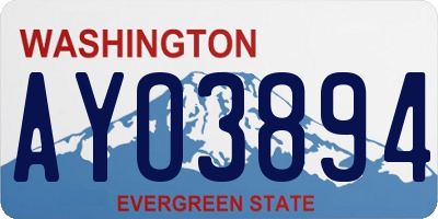 WA license plate AYO3894