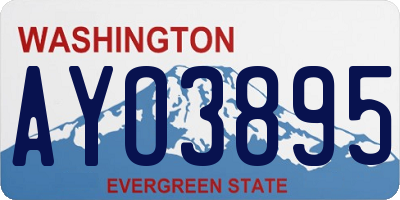 WA license plate AYO3895