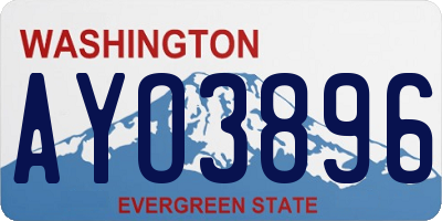WA license plate AYO3896