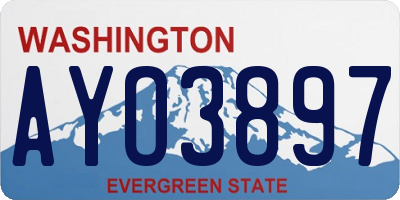 WA license plate AYO3897