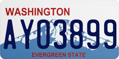 WA license plate AYO3899