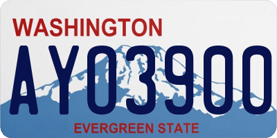 WA license plate AYO3900