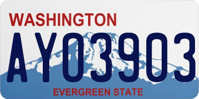 WA license plate AYO3903