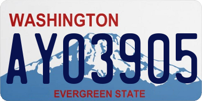 WA license plate AYO3905