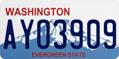 WA license plate AYO3909