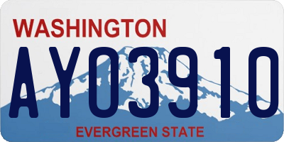 WA license plate AYO3910