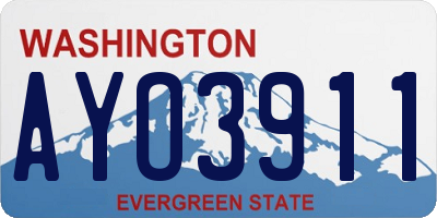 WA license plate AYO3911