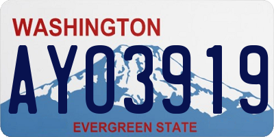 WA license plate AYO3919