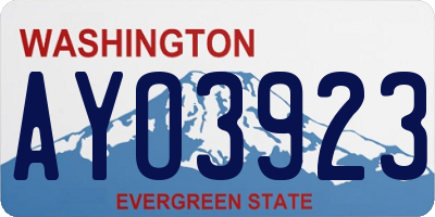 WA license plate AYO3923