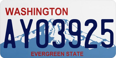 WA license plate AYO3925