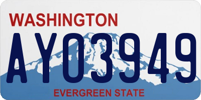 WA license plate AYO3949