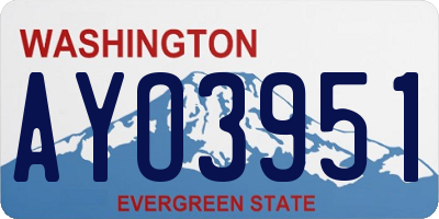 WA license plate AYO3951