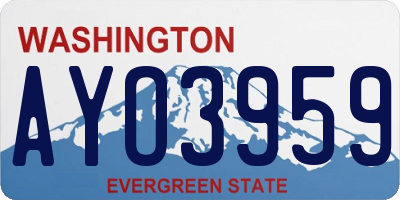 WA license plate AYO3959