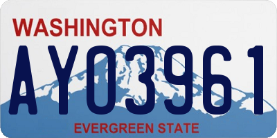 WA license plate AYO3961