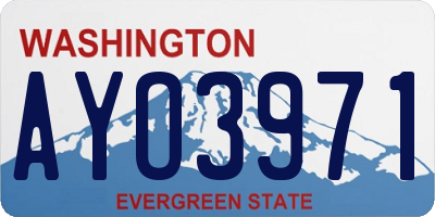WA license plate AYO3971