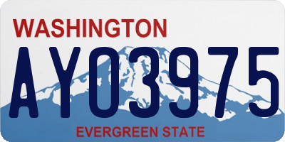 WA license plate AYO3975