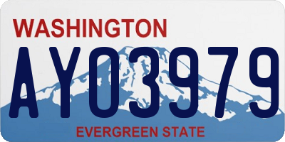 WA license plate AYO3979