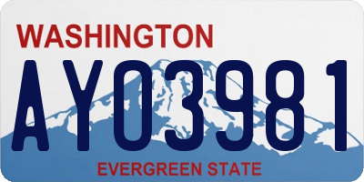 WA license plate AYO3981