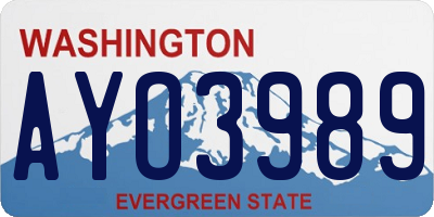 WA license plate AYO3989