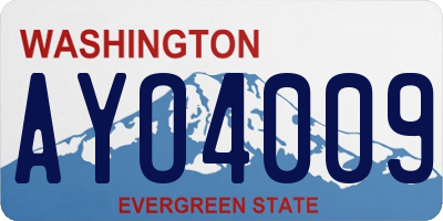 WA license plate AYO4009