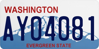 WA license plate AYO4081