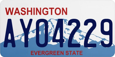 WA license plate AYO4229