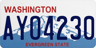WA license plate AYO4230
