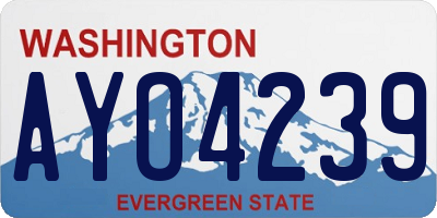 WA license plate AYO4239