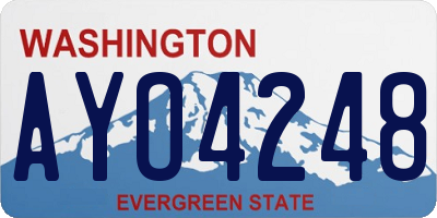 WA license plate AYO4248