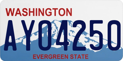 WA license plate AYO4250
