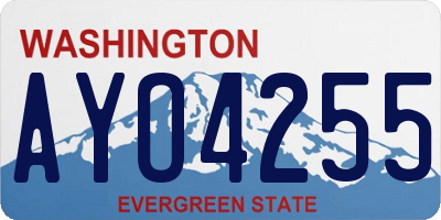 WA license plate AYO4255
