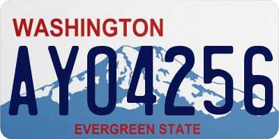 WA license plate AYO4256