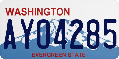 WA license plate AYO4285