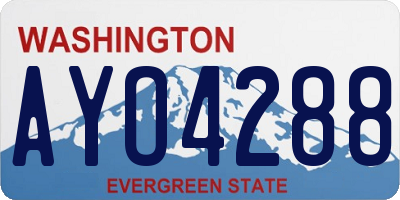 WA license plate AYO4288