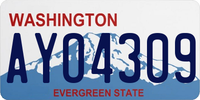 WA license plate AYO4309